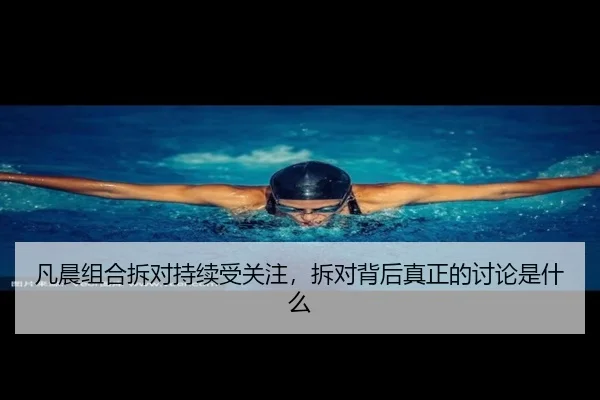 fan-chen-zu-he-chai-dui-chi-xu-shou-guan-zhu-chai-dui-bei-hou-zhen-zheng-de-tao-lun-shi-shen-me-2-437.jpg
