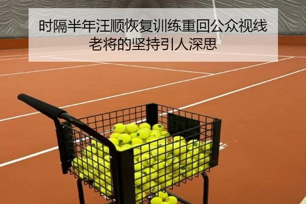 时隔半年汪顺恢复训练重回公众视线 老将的坚持引人深思
