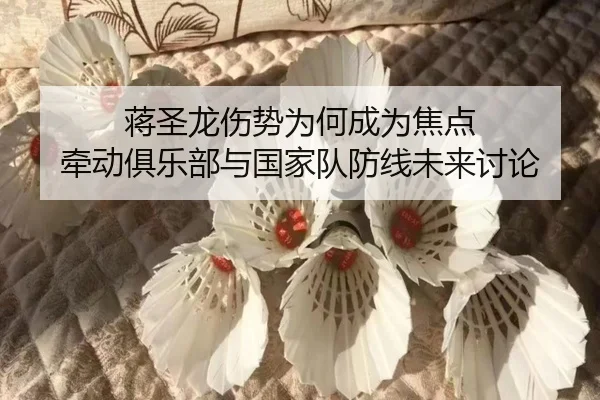 蒋圣龙伤势为何成为焦点 牵动俱乐部与国家队防线未来讨论